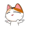 Gogil Meow 14