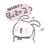 Kim Bunny 15