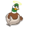 duck_vk 15