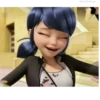 For Marinette_Nikki 20