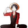 LUFFY 16