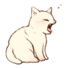 Kitten daily 8
