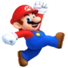 Mariocat 10