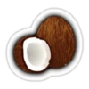 Coconuts-nuts 13