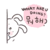 Kim Bunny 16