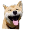 DogStyle 17