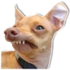 DogStyle 19