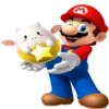 Mariocat 12