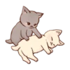 Kitten daily 9