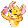Little Mouse 13