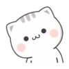 CUTIECAT 16