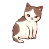 Kitten daily 10