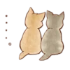Kitten daily 11