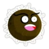 Coconuts-nuts 17