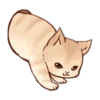 Kitten daily 13