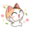 Gogil Meow 20
