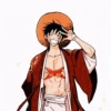 LUFFY 23