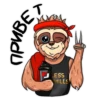 Loft Fitness 9