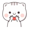 CUTIECAT 21