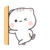 CUTIECAT 22
