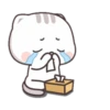 CUTIECAT 23