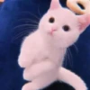 Animals 20