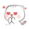 CUTIECAT 24