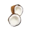 Coconuts-nuts 19
