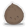Coconuts-nuts 20