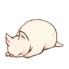 Kitten daily 17