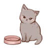 Kitten daily 18