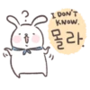 Kim Bunny 24