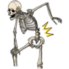 M
M
Spay