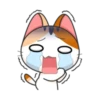 0
0