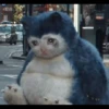 Crying Cat 25