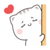 CUTIECAT 27