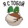 duck_vk 27