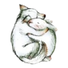 Hugs not Drugs 23