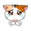 Gogil Meow 28