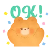 Acorn Pupil Bear3 21