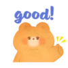 Acorn Pupil Bear3 22