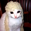 Crying Cat 29