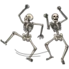 Bob 27