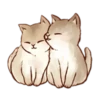 Kitten daily 21
