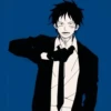 LUFFY 29