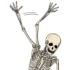 Bob 29