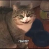 kucingnya dante 27