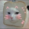 kucingnya dante 29