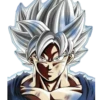 Goku vs jiren 21