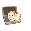 Kitten daily 23